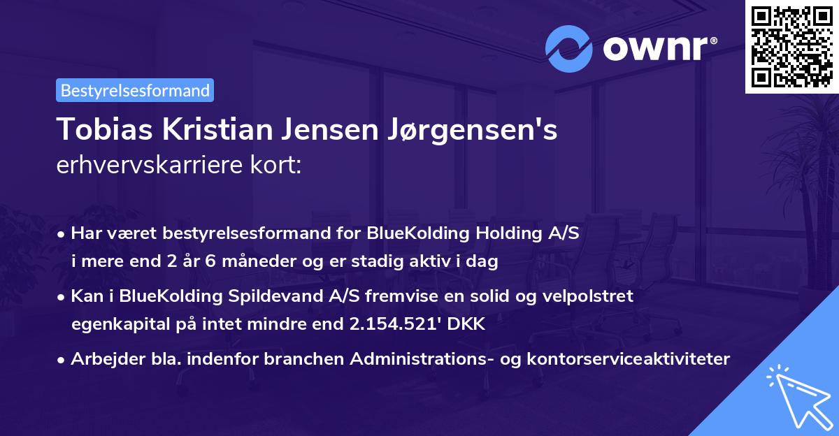 Tobias Kristian Jensen Jørgensen's erhvervskarriere kort