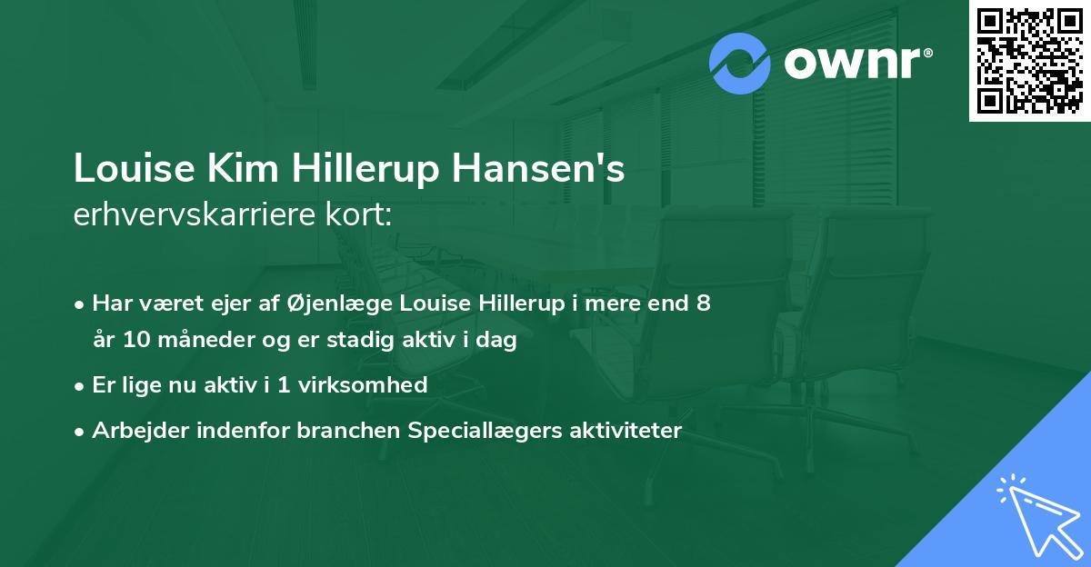 Louise Kim Hillerup Hansen's erhvervskarriere kort