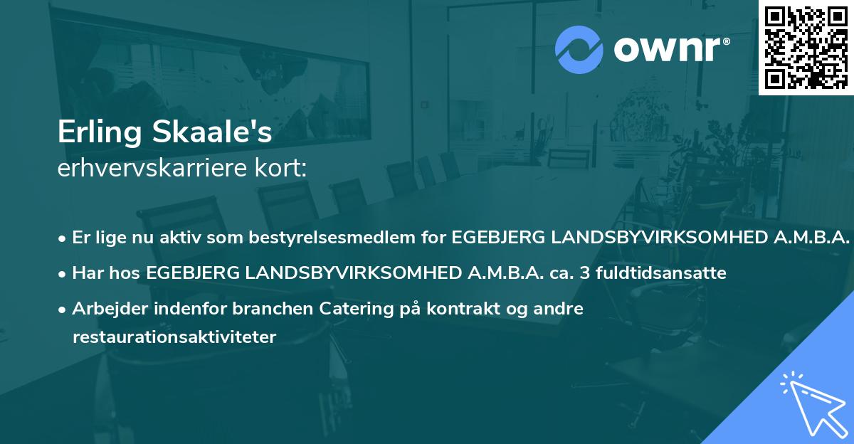 Erling Skaale's erhvervskarriere kort