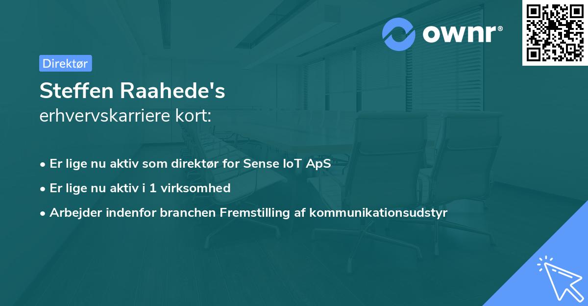 Steffen Raahede's erhvervskarriere kort