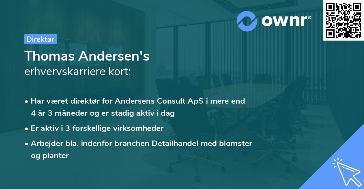 Thomas Andersen's erhvervskarriere kort