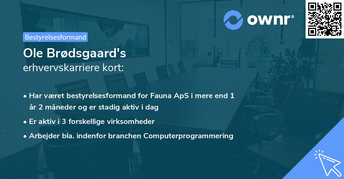 Ole Brødsgaard's erhvervskarriere kort