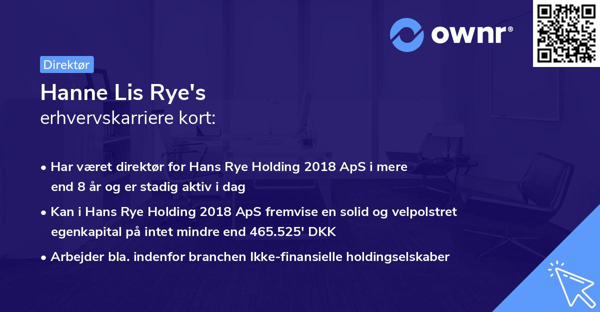Hanne Lis Rye's erhvervskarriere kort