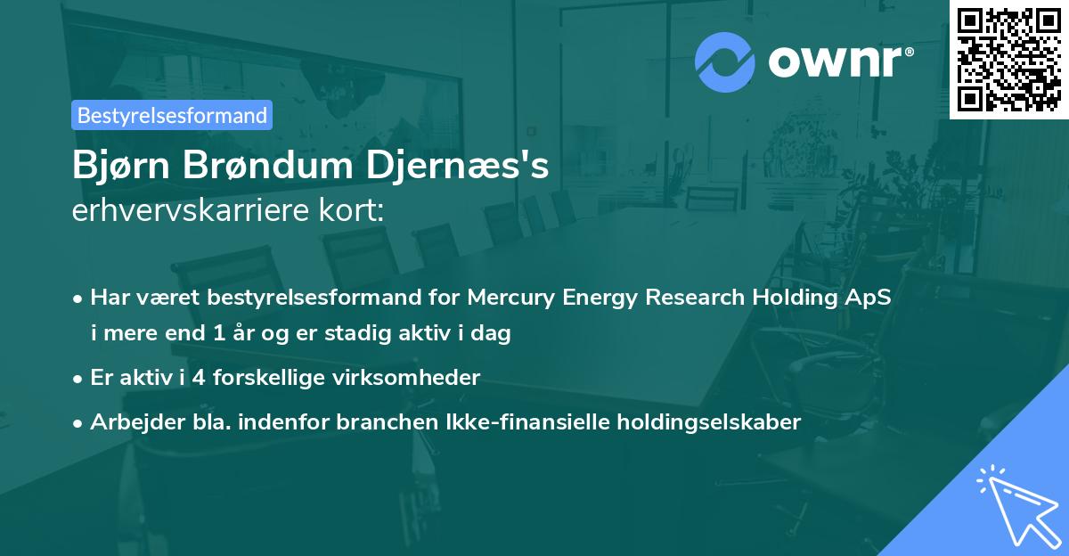 Bjørn Brøndum Djernæs's erhvervskarriere kort