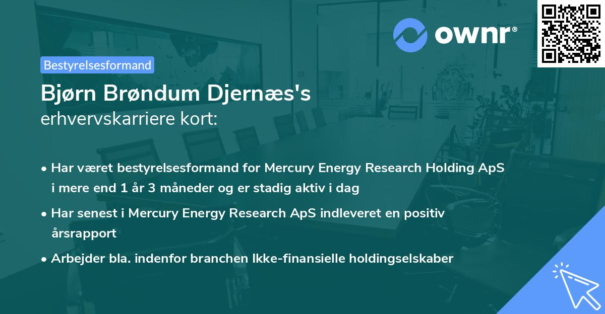 Bjørn Brøndum Djernæs's erhvervskarriere kort