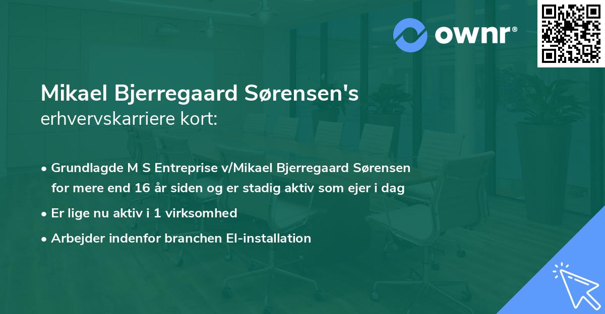 Mikael Bjerregaard Sørensen's erhvervskarriere kort