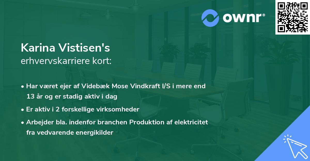 Karina Vistisen's erhvervskarriere kort