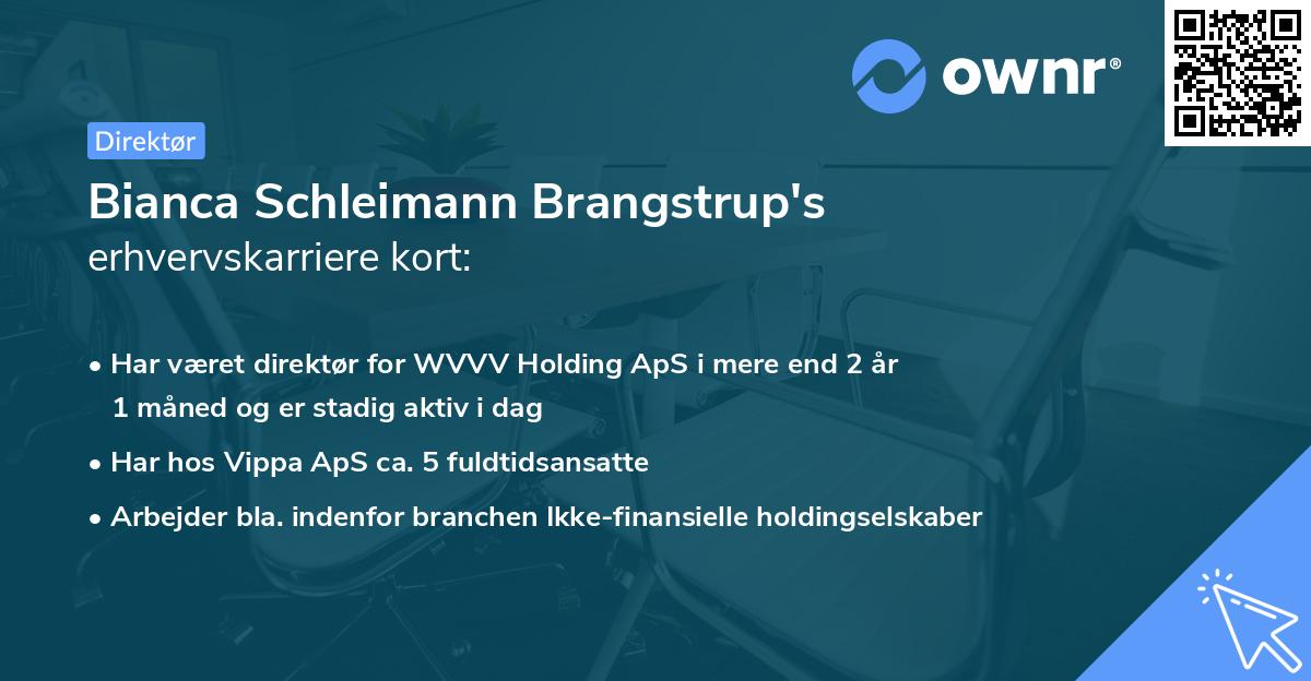Bianca Schleimann Brangstrup's erhvervskarriere kort