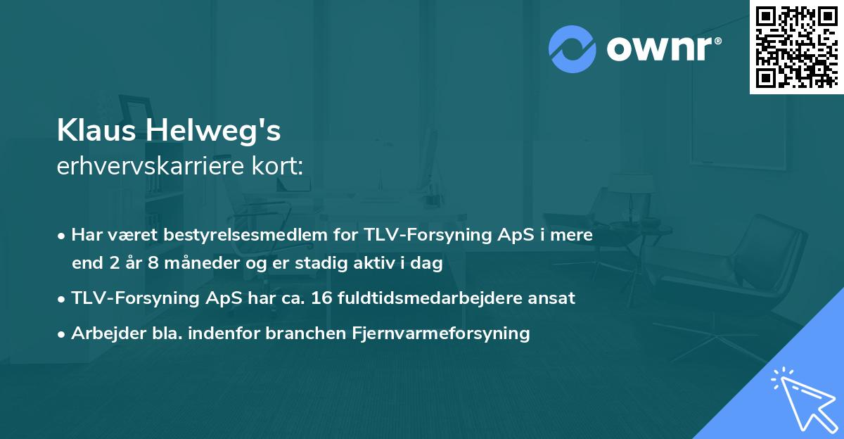 Klaus Helweg's erhvervskarriere kort