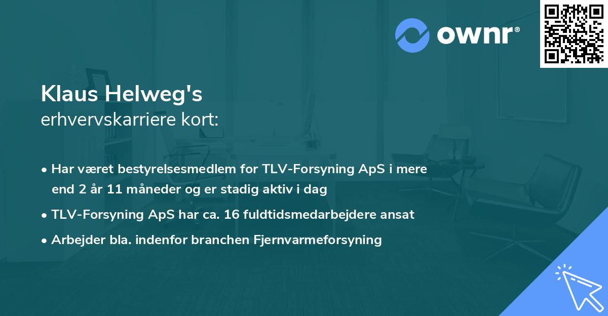 Klaus Helweg's erhvervskarriere kort