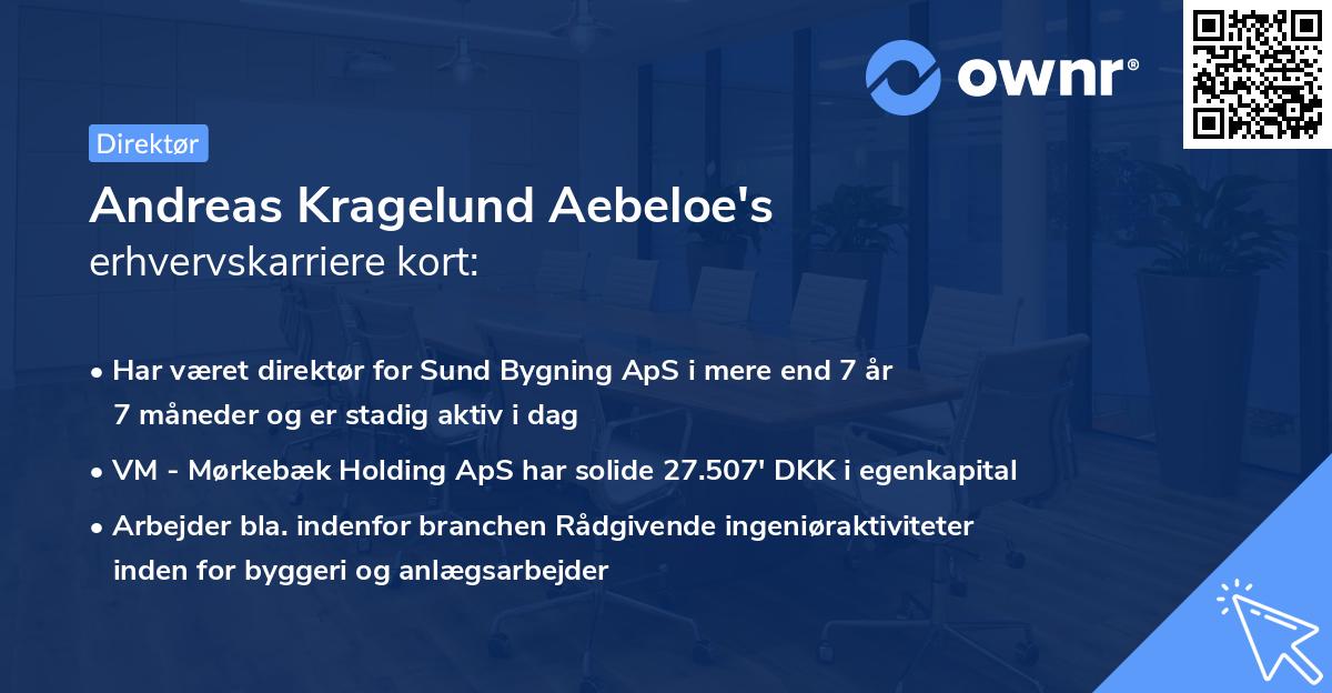 Andreas Kragelund Aebeloe's erhvervskarriere kort