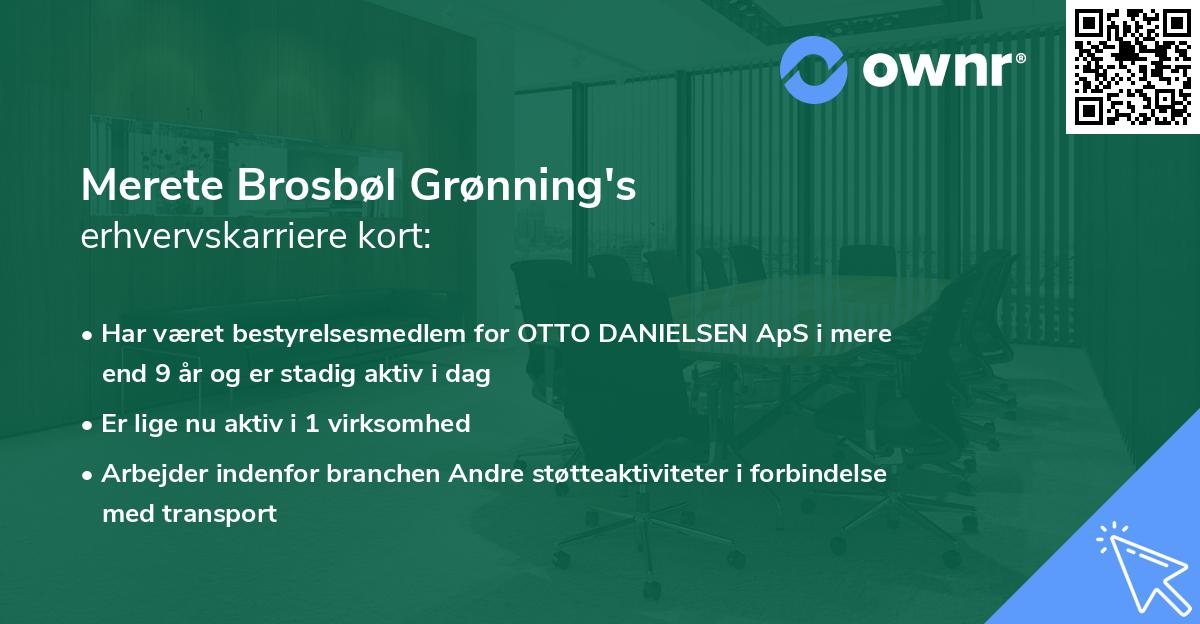 Merete Brosbøl Grønning's erhvervskarriere kort