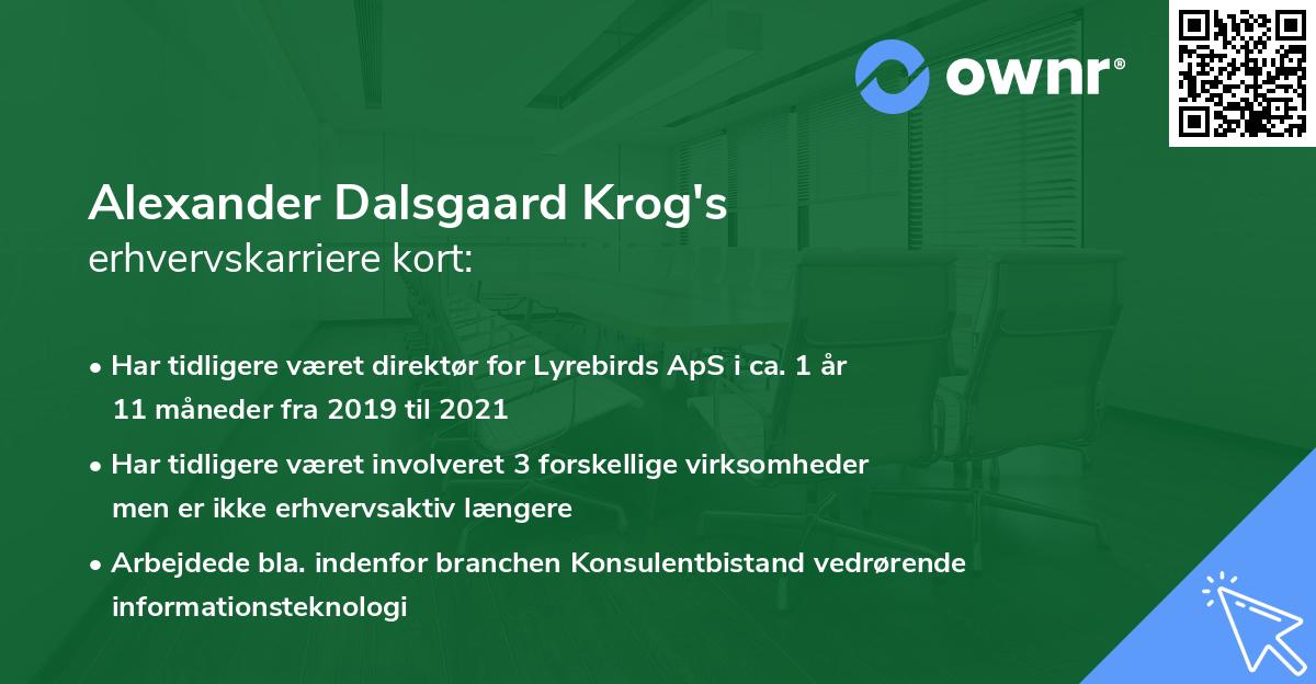 Alexander Dalsgaard Krog's erhvervskarriere kort