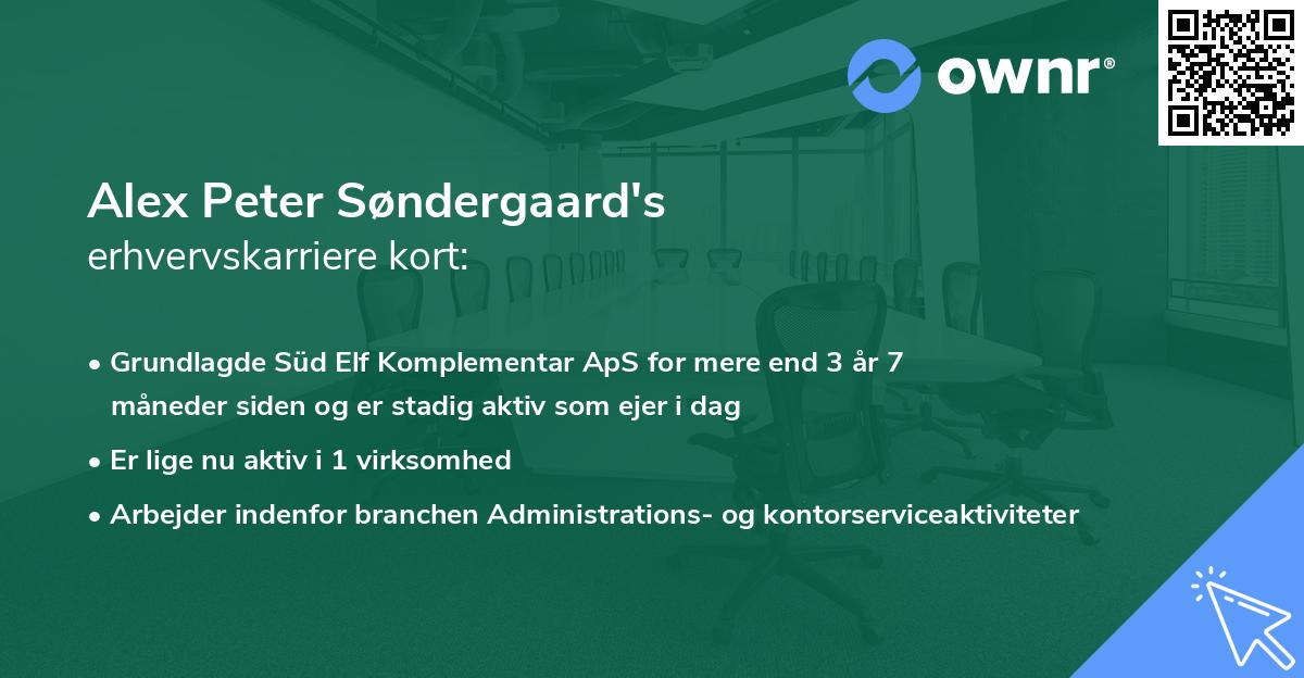 Alex Peter Søndergaard's erhvervskarriere kort