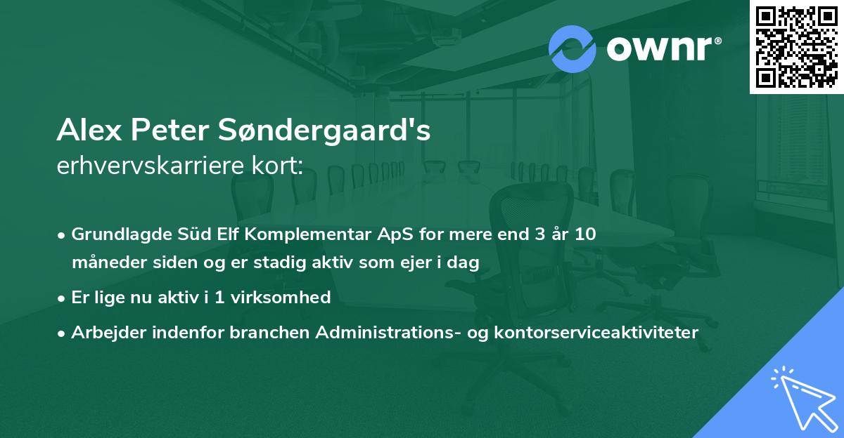 Alex Peter Søndergaard's erhvervskarriere kort
