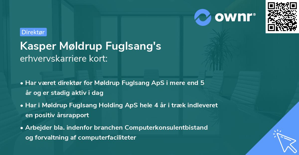 Kasper Møldrup Fuglsang's erhvervskarriere kort