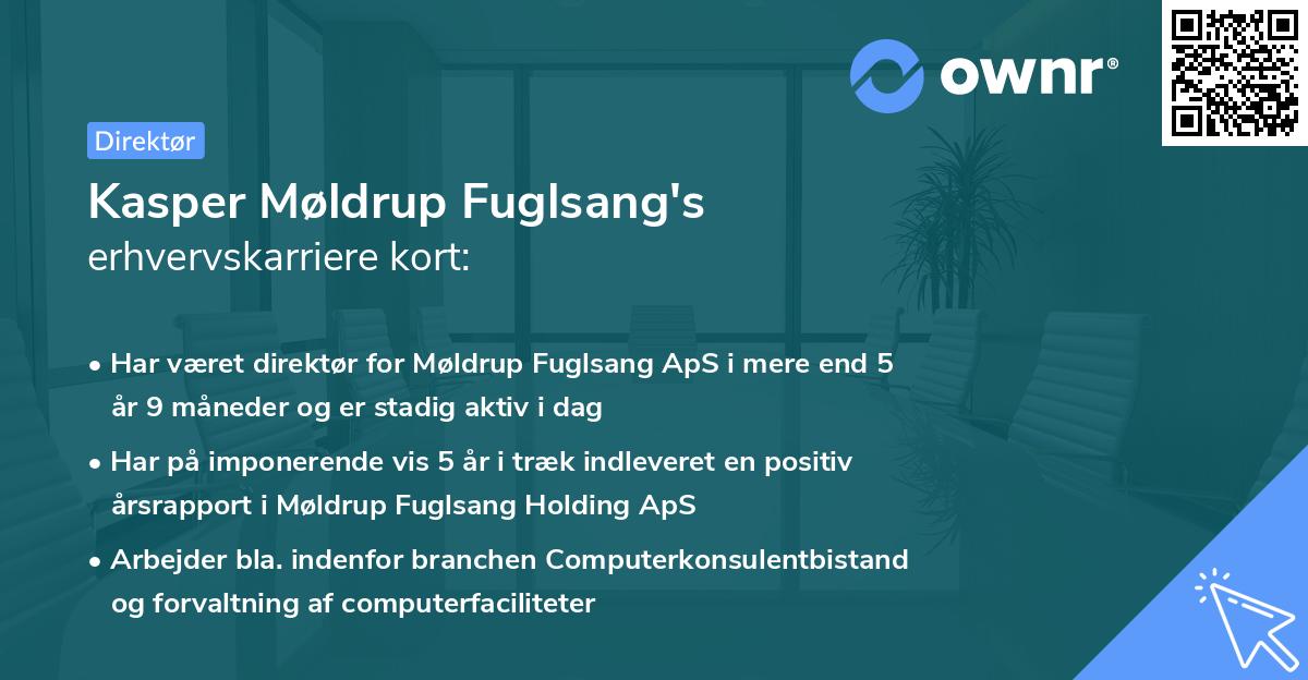 Kasper Møldrup Fuglsang's erhvervskarriere kort