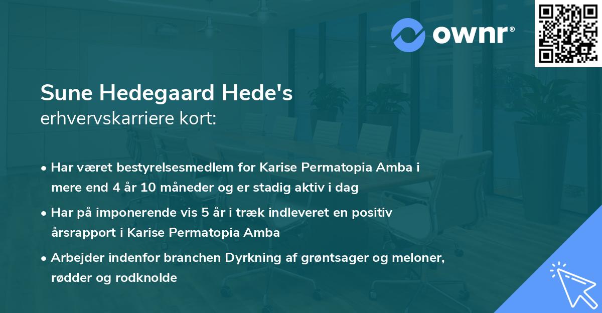 Sune Hedegaard Hede's erhvervskarriere kort