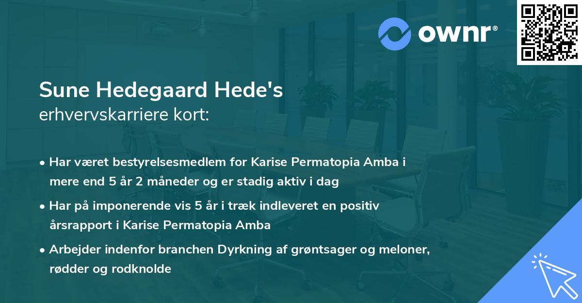 Sune Hedegaard Hede's erhvervskarriere kort