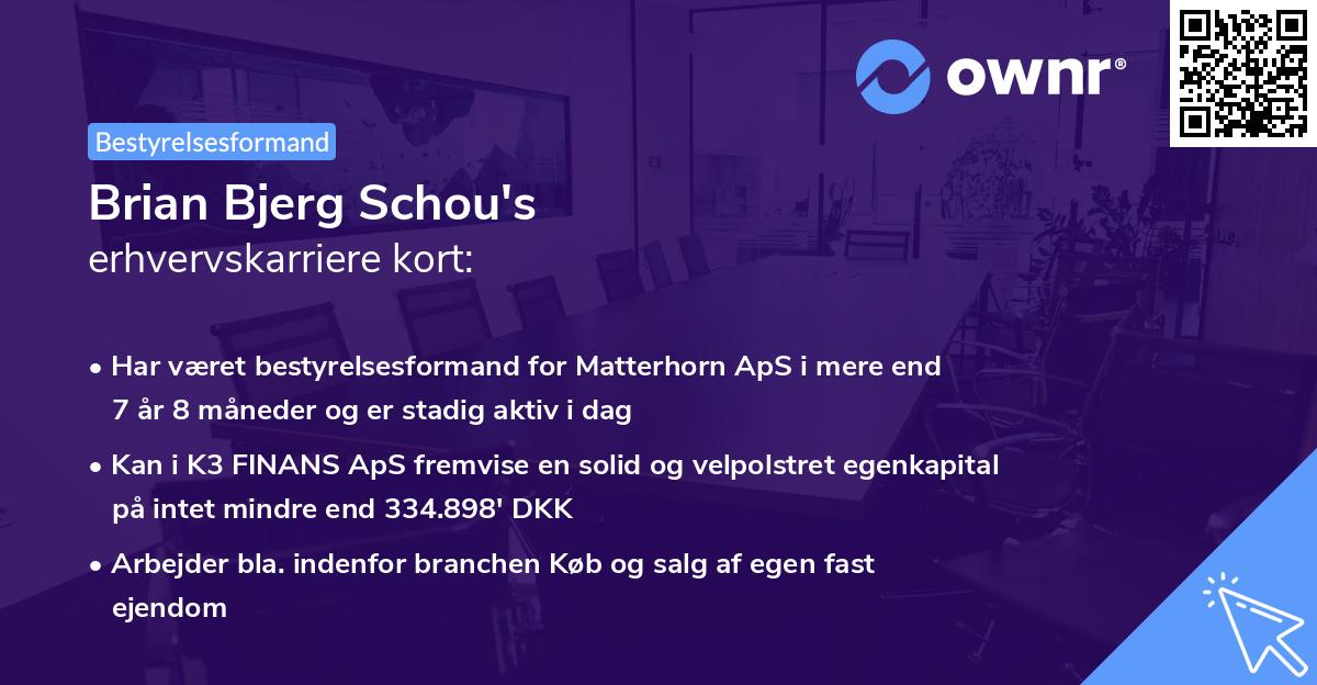 Brian Bjerg Schou's erhvervskarriere kort