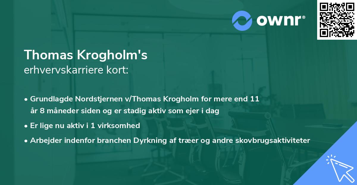 Thomas Krogholm's erhvervskarriere kort