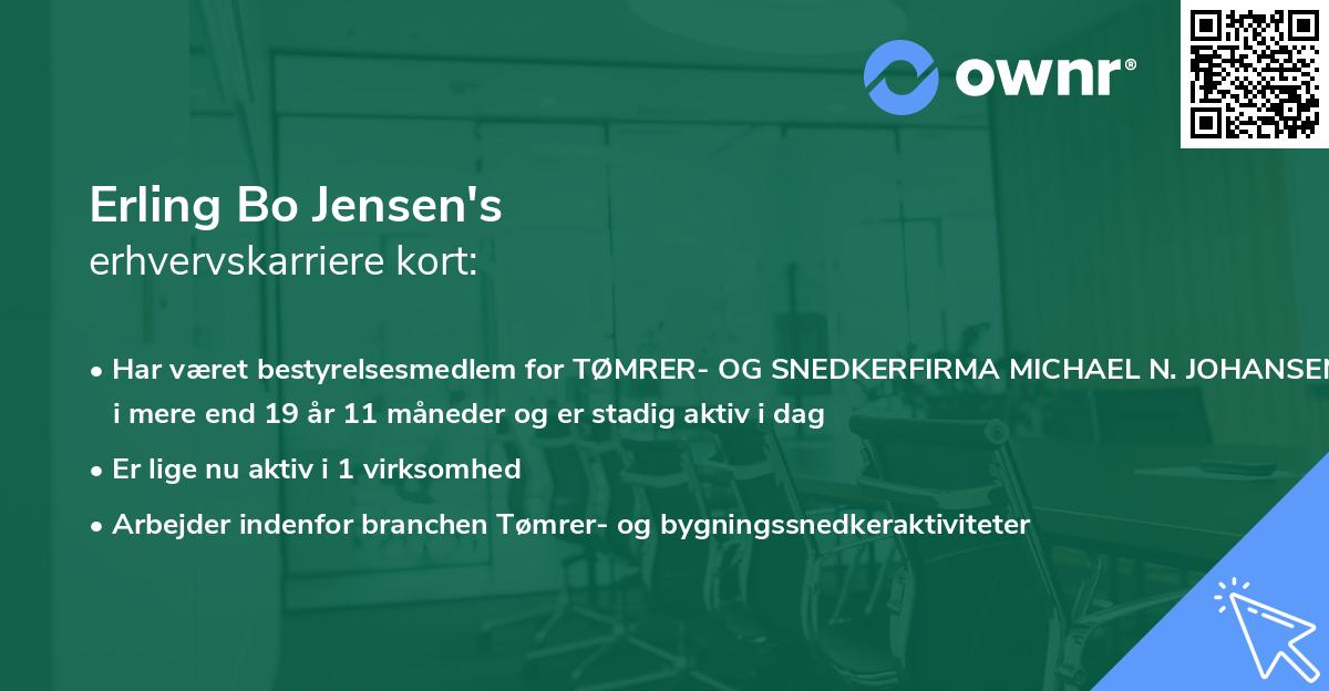 Erling Bo Jensen's erhvervskarriere kort