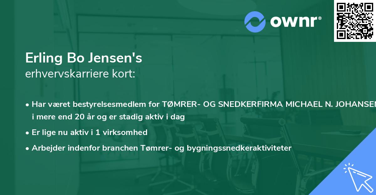 Erling Bo Jensen's erhvervskarriere kort