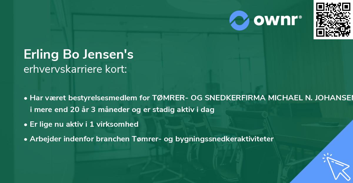 Erling Bo Jensen's erhvervskarriere kort