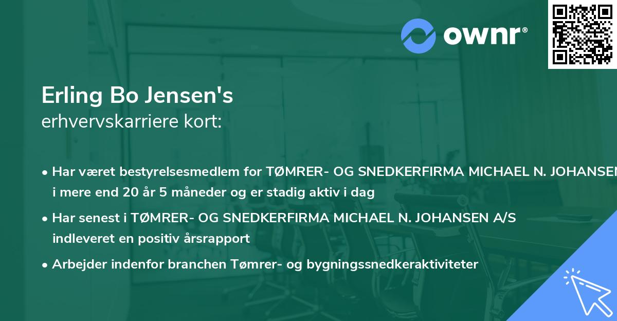 Erling Bo Jensen's erhvervskarriere kort