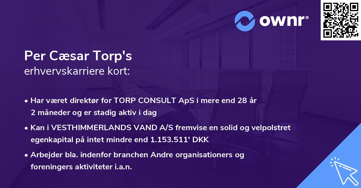 Per Cæsar Torp's erhvervskarriere kort