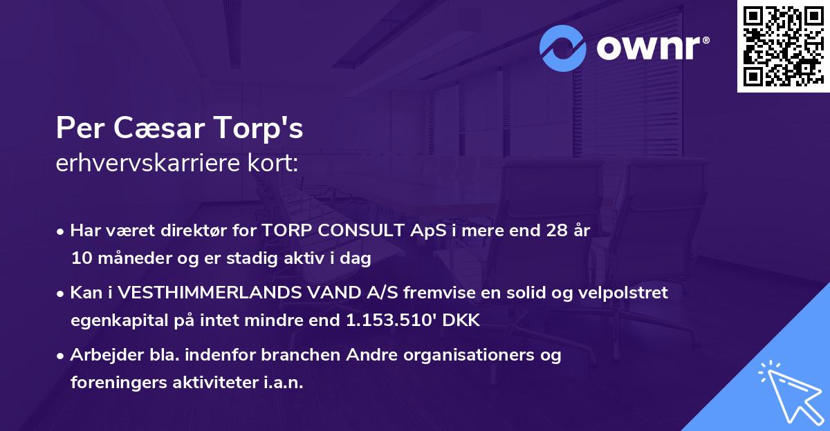 Per Cæsar Torp's erhvervskarriere kort
