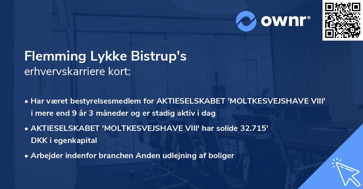 Flemming Lykke Bistrup's erhvervskarriere kort