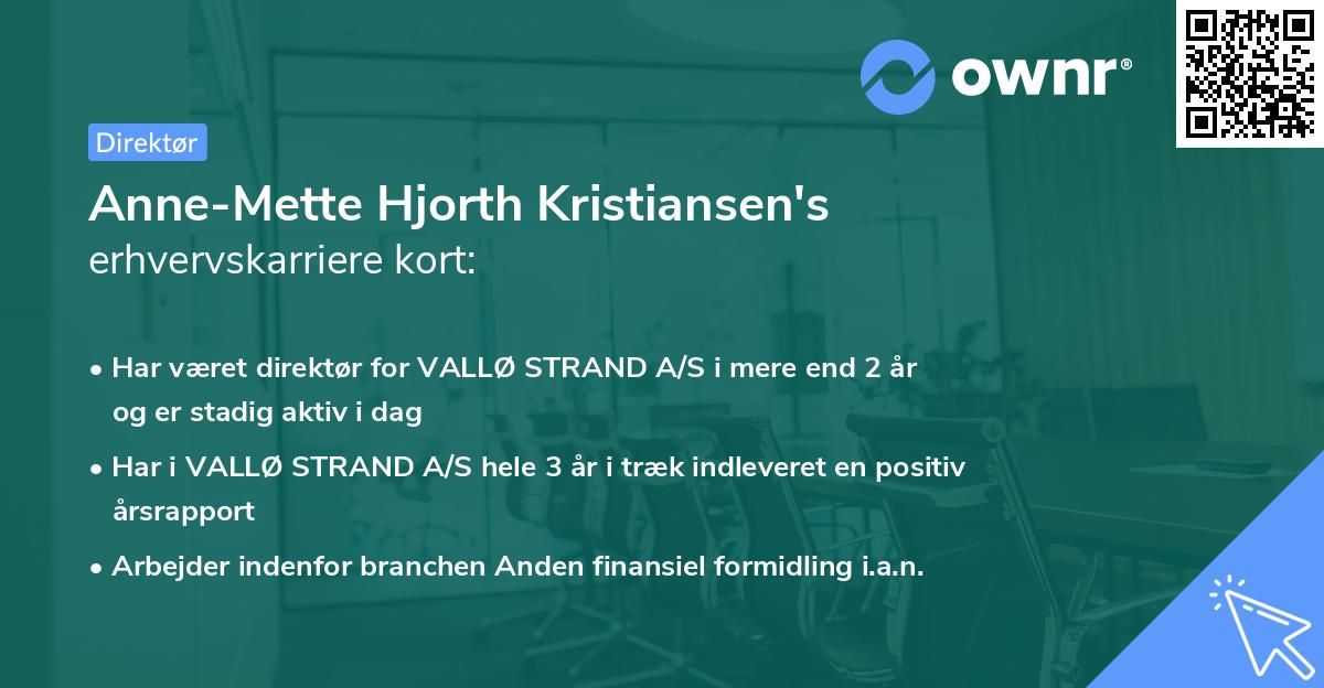 Anne-Mette Hjorth Kristiansen's erhvervskarriere kort