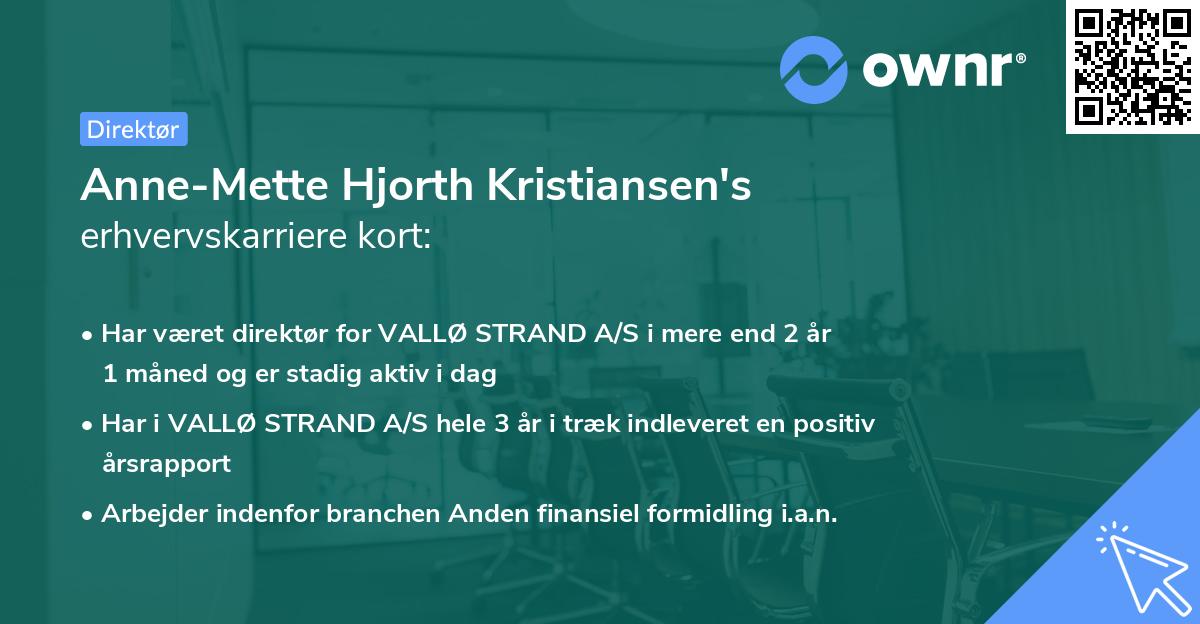 Anne-Mette Hjorth Kristiansen's erhvervskarriere kort