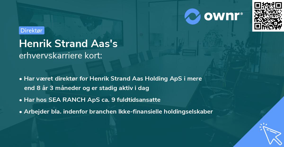 Henrik Strand Aas's erhvervskarriere kort