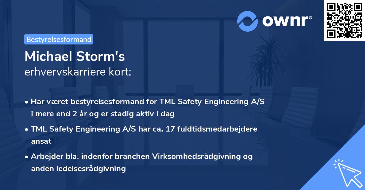 Michael Storm's erhvervskarriere kort