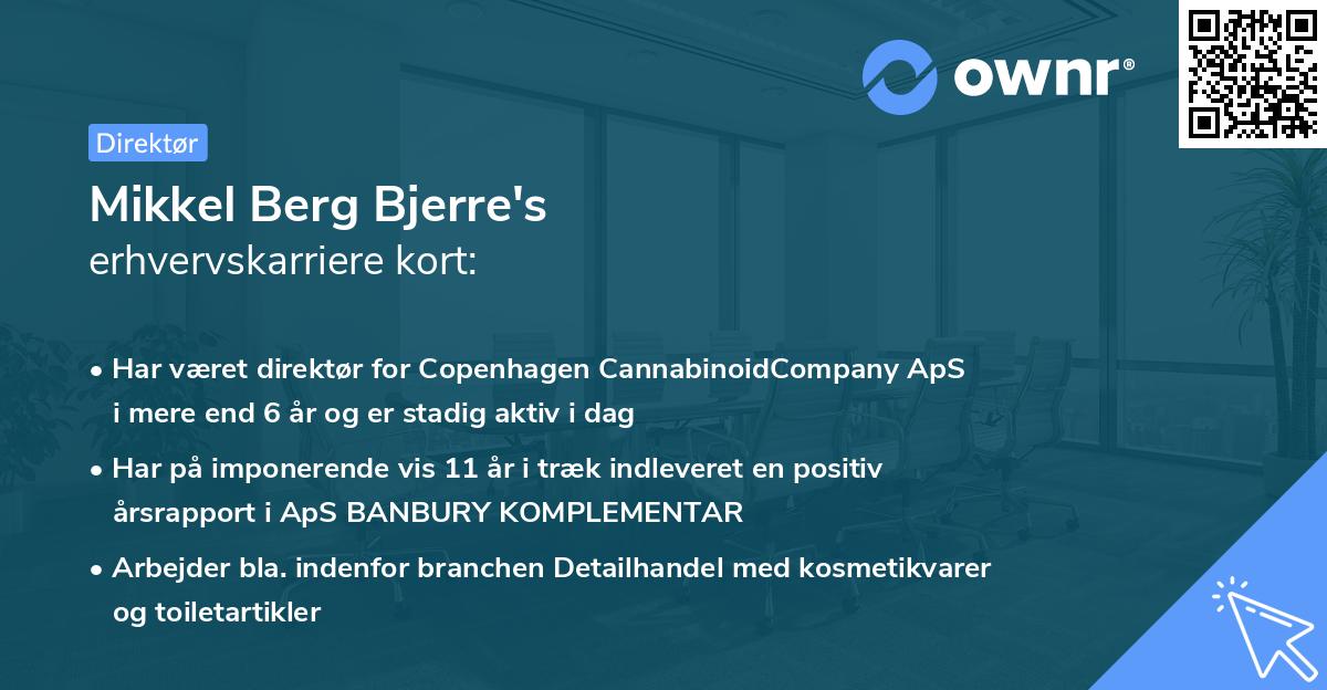 Mikkel Berg Bjerre's erhvervskarriere kort