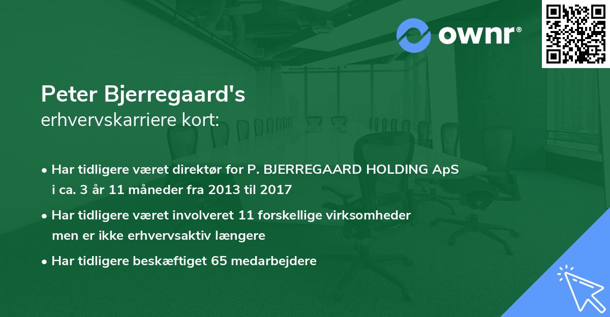 Peter Bjerregaard's erhvervskarriere kort