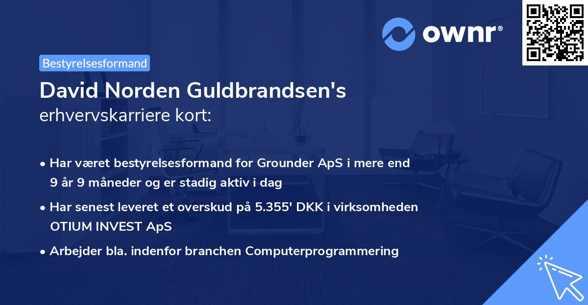 David Norden Guldbrandsen's erhvervskarriere kort