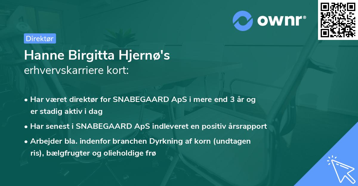 Hanne Birgitta Hjernø's erhvervskarriere kort