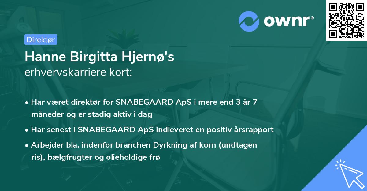 Hanne Birgitta Hjernø's erhvervskarriere kort