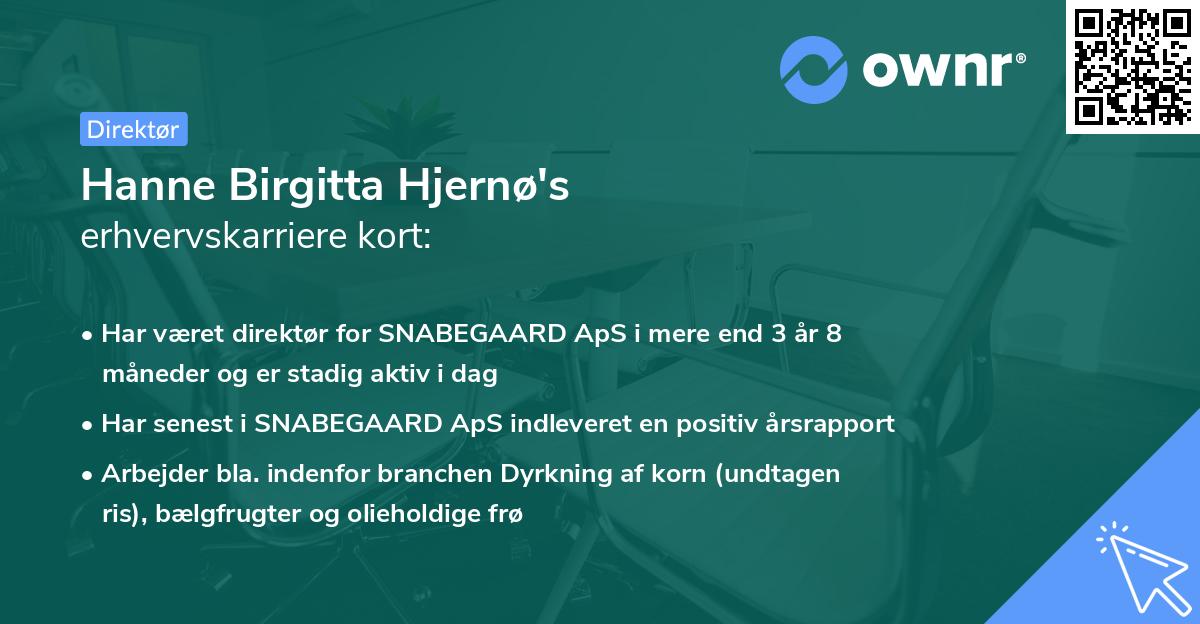Hanne Birgitta Hjernø's erhvervskarriere kort