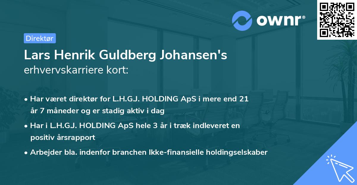 Lars Henrik Guldberg Johansen's erhvervskarriere kort