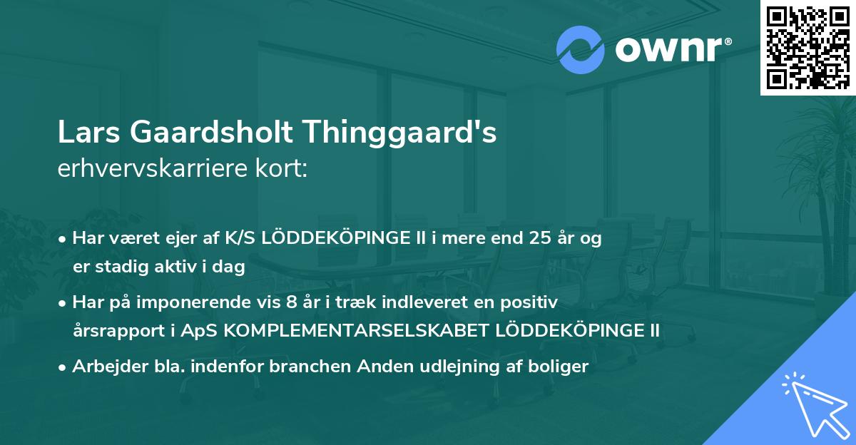 Lars Gaardsholt Thinggaard's erhvervskarriere kort