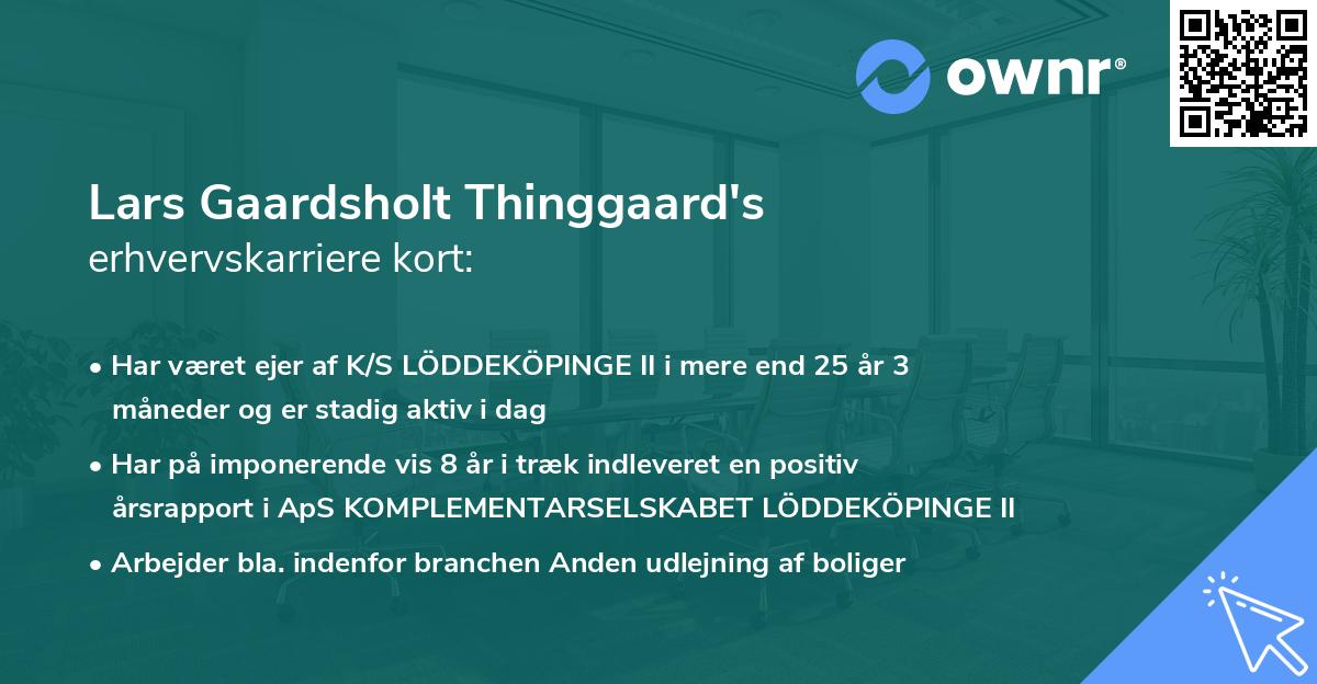 Lars Gaardsholt Thinggaard's erhvervskarriere kort