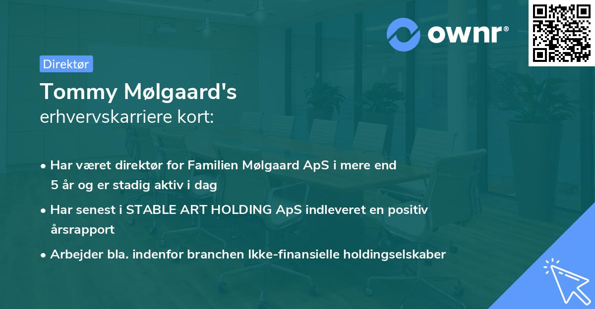 Tommy Mølgaard's erhvervskarriere kort