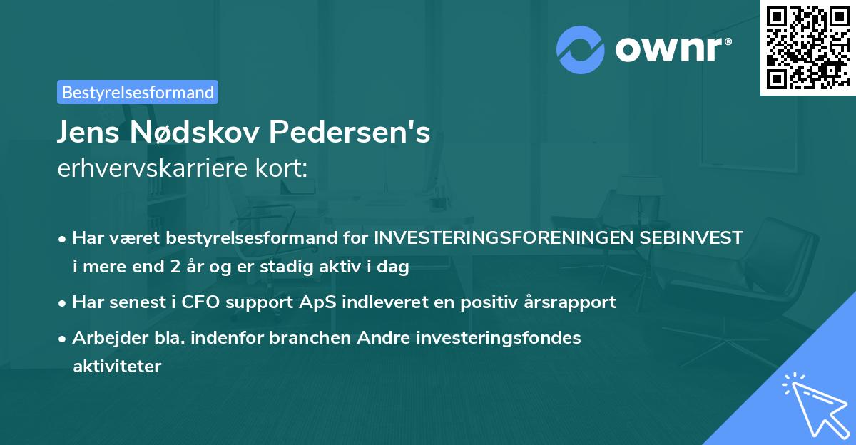 Jens Nødskov Pedersen's erhvervskarriere kort