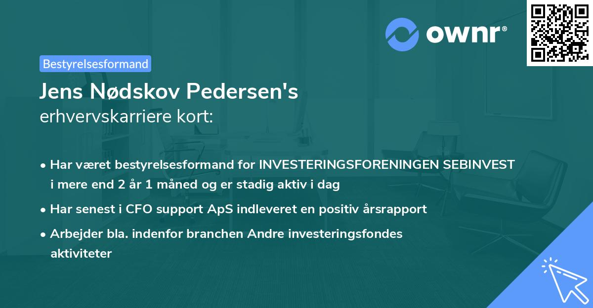 Jens Nødskov Pedersen's erhvervskarriere kort