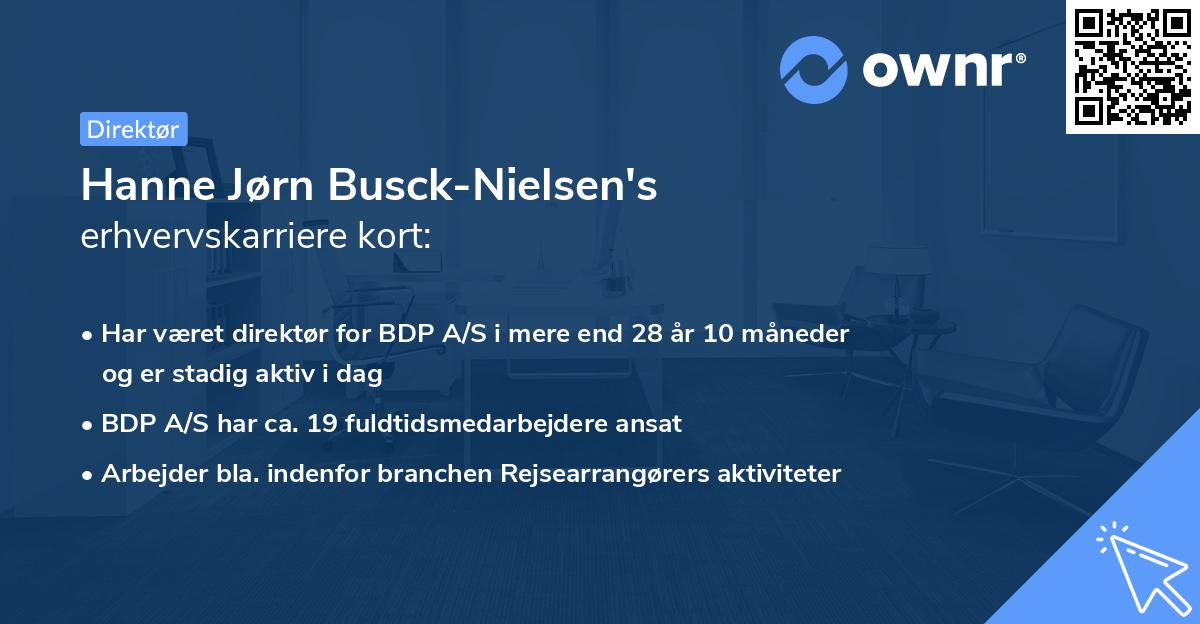 Hanne Jørn Busck-Nielsen's erhvervskarriere kort