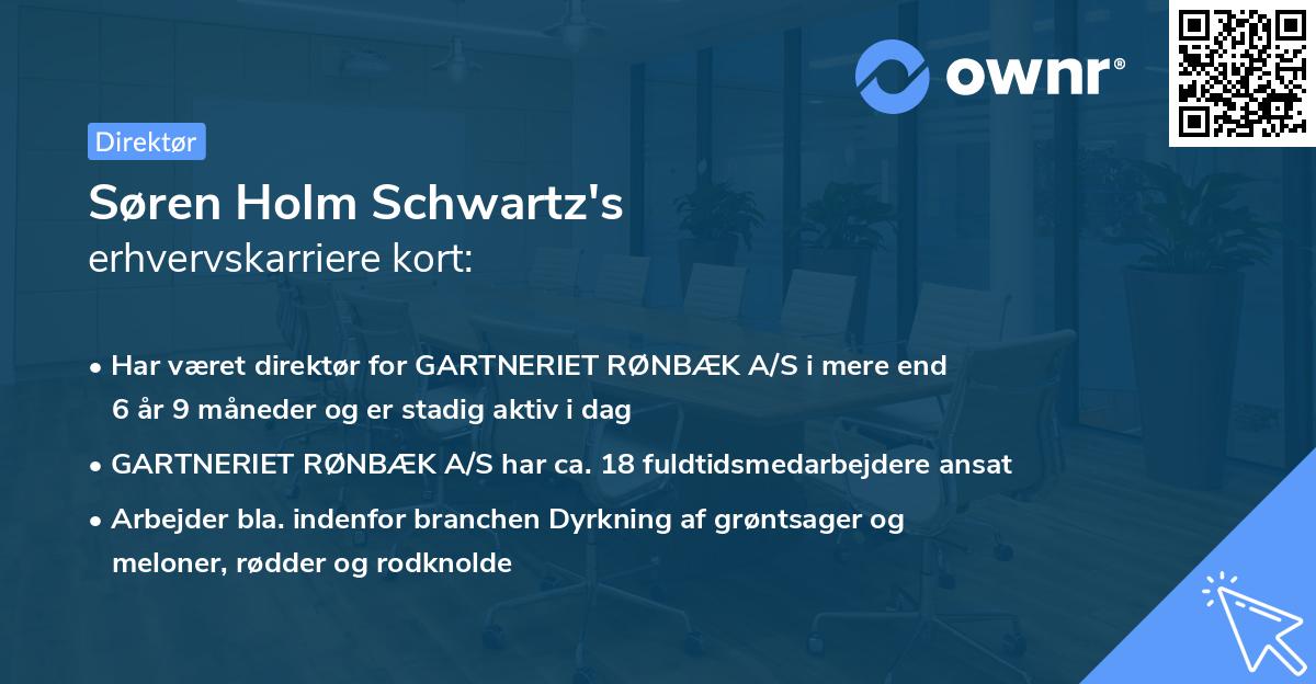 Søren Holm Schwartz's erhvervskarriere kort